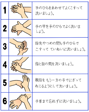 正しい手の洗い方