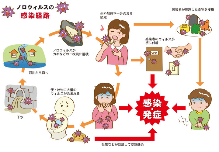 ノロウィルスの感染経路